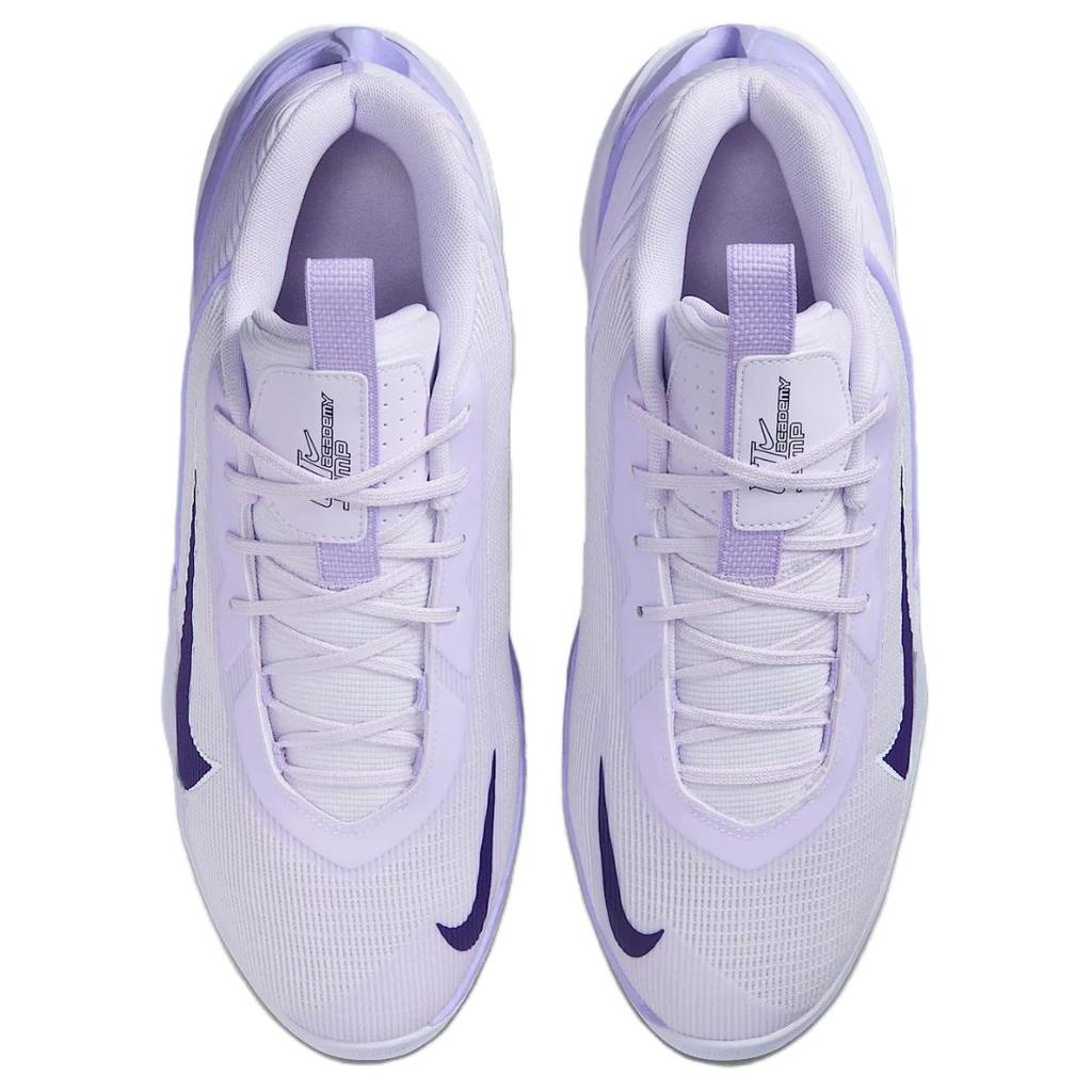 Nike ГТ. Баскетбольные кроссовки Jump Academy с низким верхом, противоскользящие, износостойкие, мужские, светло-фиолетовые, HF1804-500