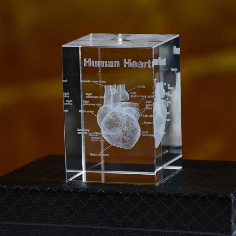 Crystal Heart Model Cube 3D Laser Engraved Anatomical Figurines Medical Science Souvenir Gifts Home Decoration Paperweight