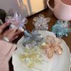 Gradient Flower Hair Claw Women Girls Sweet Acrylic Hair Claw Summer Vacation Hair Crab Clamp Hawaiian Headwear Styling Barrette