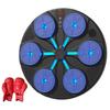 Smart Musical Boxing Machine with Gloves BT Wall-Mounted Boxing Target Focusing Training Equipment