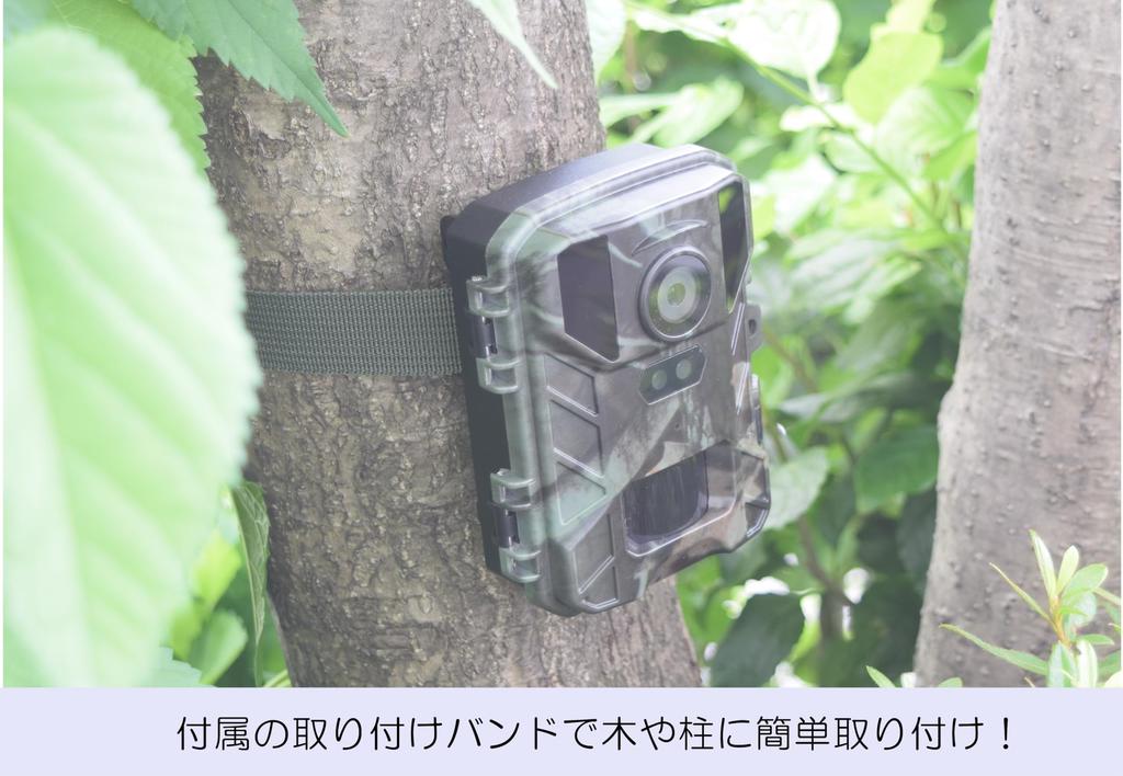 Инфракрасная беспилотная камера SIGHTRON Trail TT800CM STR-MiNi800