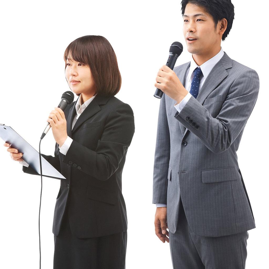 Sanwa Supply Акустическая система с беспроводным микрофоном MM-SPAMP4