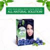 Henna Hair Color - Blue Black Pack of 2 - Vatika Naturals - Blue Noir 1.1 Hair Colour