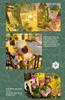 Moin Moin Dollhouse Miniature Handmade Kit Set Scale Antique Retro Flower Shop Cafe Coffee Shop Plant LED Light Acrylic Case Music Box 2408dh428 1/24