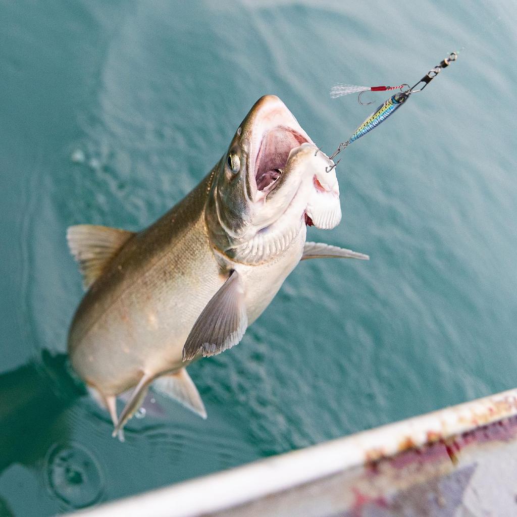 Goture Metal Jig Live Bait Set of 5 with for Shore Sea Boat Bass Sea and 30g Lures, Colors, Hooks, Jigging, Fishing, Fishing, Fishing, Bass, Flounder,