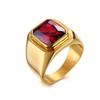 Rockyu Accessories Ring Stainless Signet Ring Men's Popularity Gold Ring No. 17