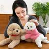 Teddy Hoodie Dog Plush Toy Cute Cartoon Collar Animal Doll Girl Birthday Gift