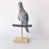 Parrots Stand Scratchers Perch Stands Bird Stands Wood Stick Stand Branch Stand Multifunctional Standing