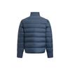 Under Armour FW25 Основная куртка пуховик с воротником-стойкой, спортивная повседневная, короткая, свободного кроя, с длинным рукавом, мужская куртка 6010876-044