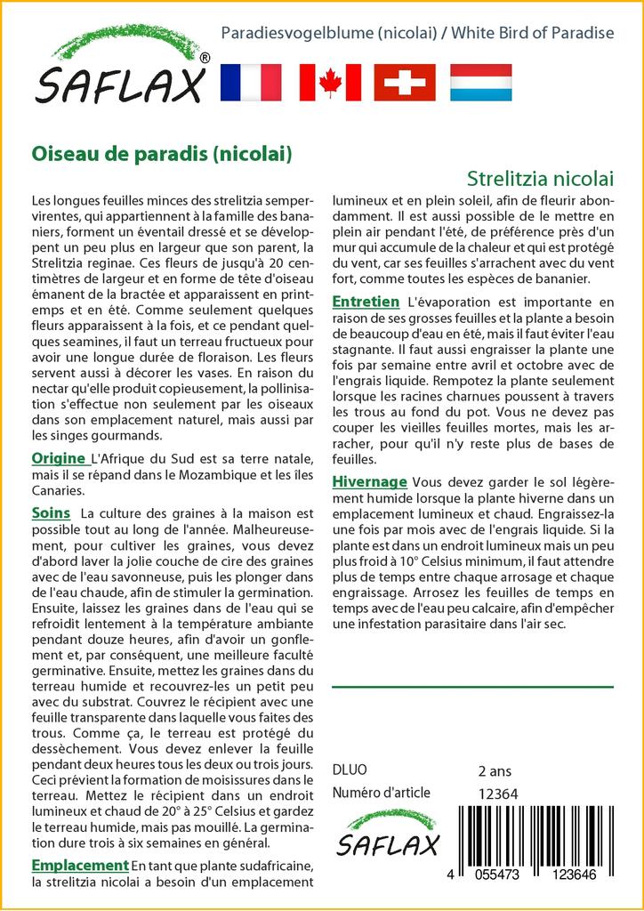 SAFLAX White Bird of Paradise - 5 семян - С горшечным субстратом для лучшего выращивания - Strelitzia nicolai