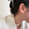 Round Smooth Plain Ring Ear Buckle Women's Fashion Simple Cold Wind Earrings Light Luxury High Sense Versatile Earrings Women