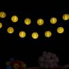 5Meters/16.4Ft 20 LEDs Solar Powered Energy Fairy String Lantern Light Lawn Lamp with Constant