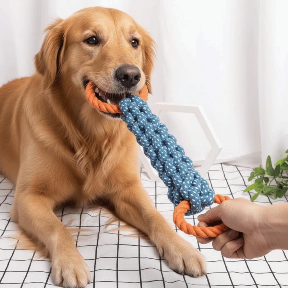 Bite-Resistant Double-Ring Dog Rope Toy Teeth Cleaning Chew Toy Medium Large Dog Breeds
