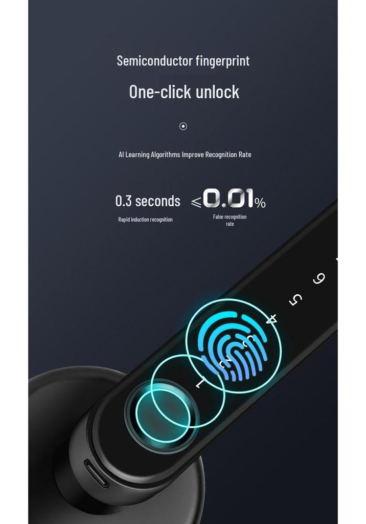 Fingerprint Lock for Indoor Bedroom/Office: Wooden Door Password & Smart Electronic Alloy Lock