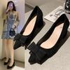 Замшевые туфли на высоком каблуке женские весна и осень 2025 новые французские модные универсальные легкие черные рабочие туфли на толстом каблуке одинарные туфли
