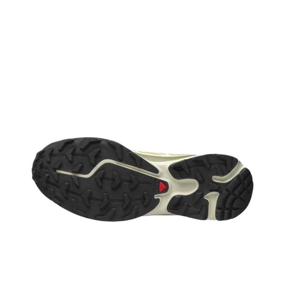 SALOMON Кроссовки унисекс XT-6 GORE-TEX Antelope Portabella Tan Icicle L47581000