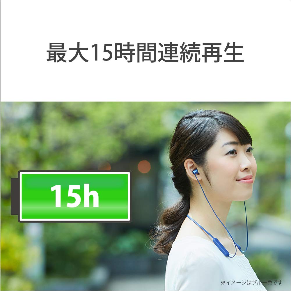 Sony Беспроводные наушники WI-C310 Черные