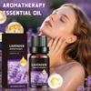 Lavender Serum Oil, Natural Aromatherapy Serum Oil, Hair Fixing Oil, Growth Oil, Used In Diffusers And Aromatherapy,10ML