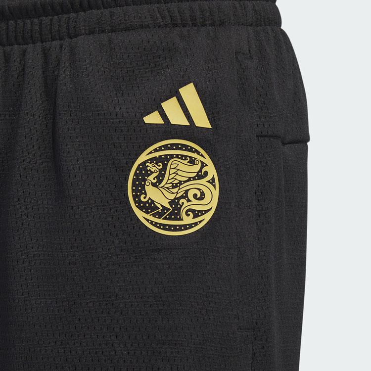 adidas Выберите баскетбольные шорты с цветными блоками и узором, мужские брюки, черные IS0607