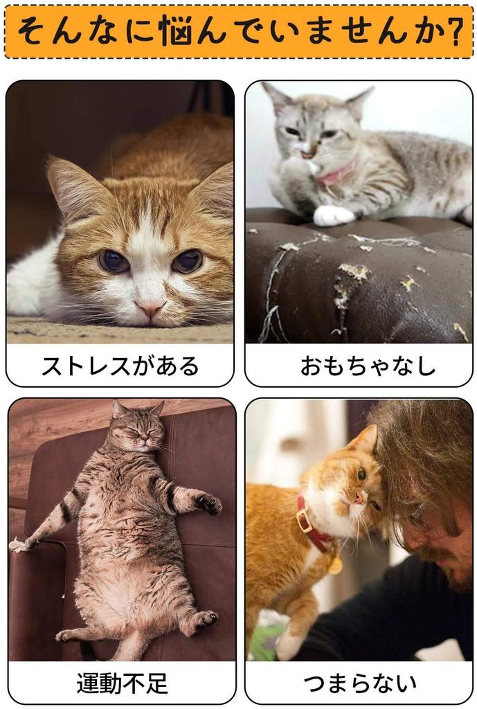 Cat Foldable Cat Pet Cat Long Pet Measures for Lack of Convenient Stress Ultra Lightweight Tunnel, Tunnel, Toy, Supplies, Play, Tunnel, Toy, Foldable,