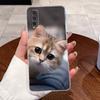 Jelly Casing For VIVO Y70S / IQOO U1 Fundas Capa Clear Silicone Soft TPU Back Cover Cute Cat Rabbit Heart Protective Case Coque