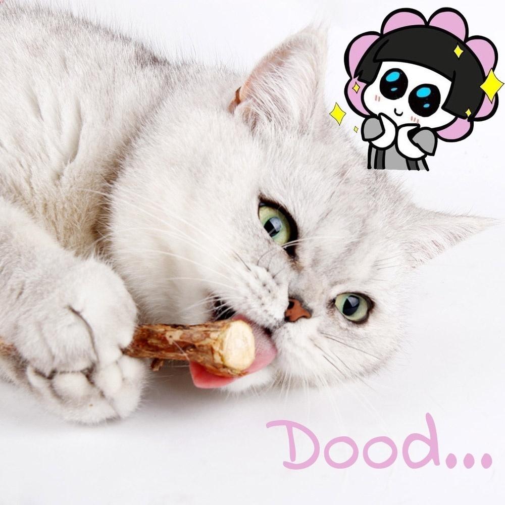 5/10pcs Organic Catnip Toys Natural Plants Cat Teeth Cleaning Chew Toys