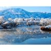 DIY 5D Diamond Painting Winter Lake Landscape Bridge Full Round Diamond Embroidery