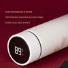 HDST Smart Temperature Display Insulated Bottle