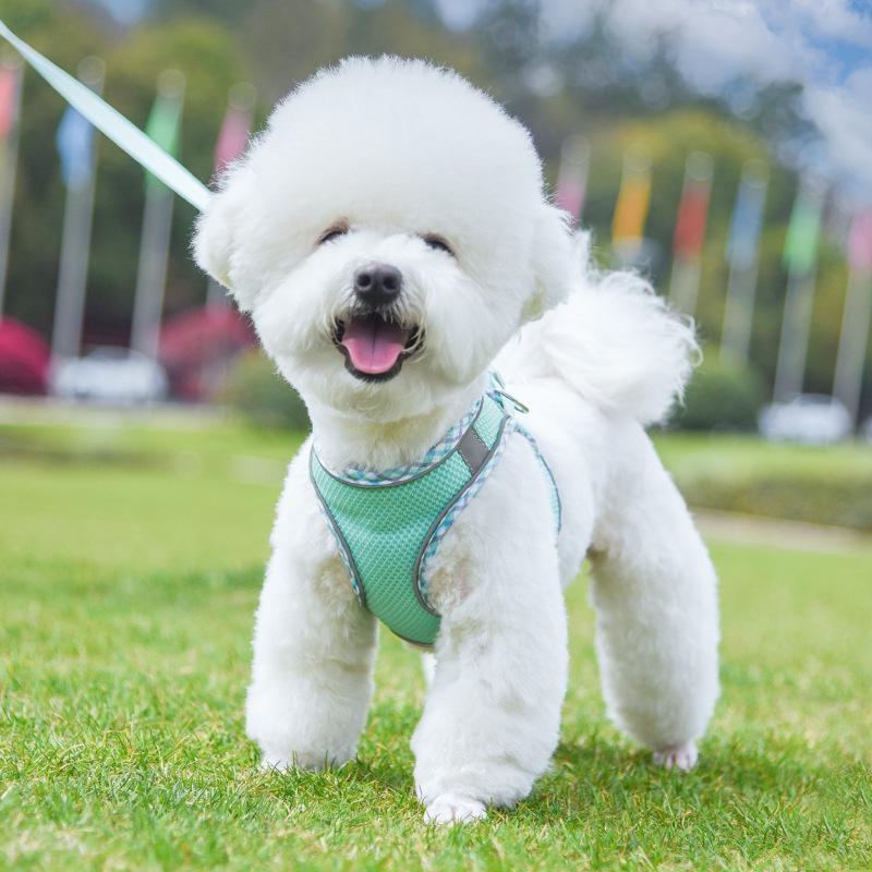 Комплект поводков для домашних животных, мягкий регулируемый дышащий сетчатый поводок без тяги и жилетный ремень для щенков, маленьких, средних собак и кошек