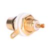 Горячая распродажа 10 шт. RCA гнездо на панель, разъём-гнездо, 24K позолоченный. Горячая распродажа