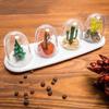 4 4-season Spice Dispenser Boxes
