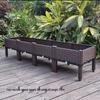 Extra Large Yellow-Edged Rooftop & Balcony Vegetable Planter Box