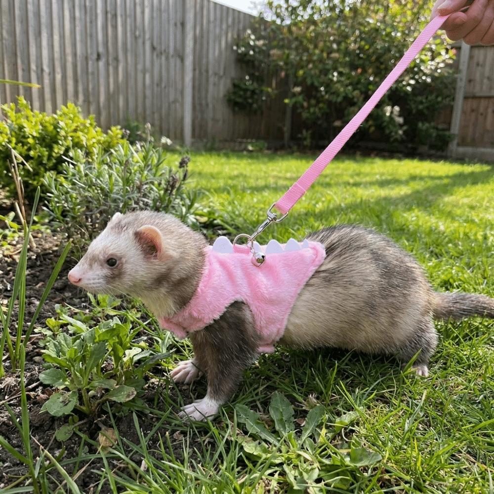 with Bell Ferret Vest Harness Dinosaur Shape Guinea Pig Safety Vest Cute Pet Traction Rope Play