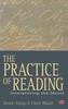 Книга The Practice of Reading : Interpreting the Novel