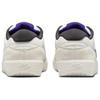 Nike Sb Force 58 Phantom Summit White Dark Smoke Grey Court Purple Skateboard Shoes DV5477-006