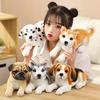 Small Simulation Husky Doll Plush Toy Spotted Dog Akita Dog Doll Children's Soothing Ragdoll Ornament