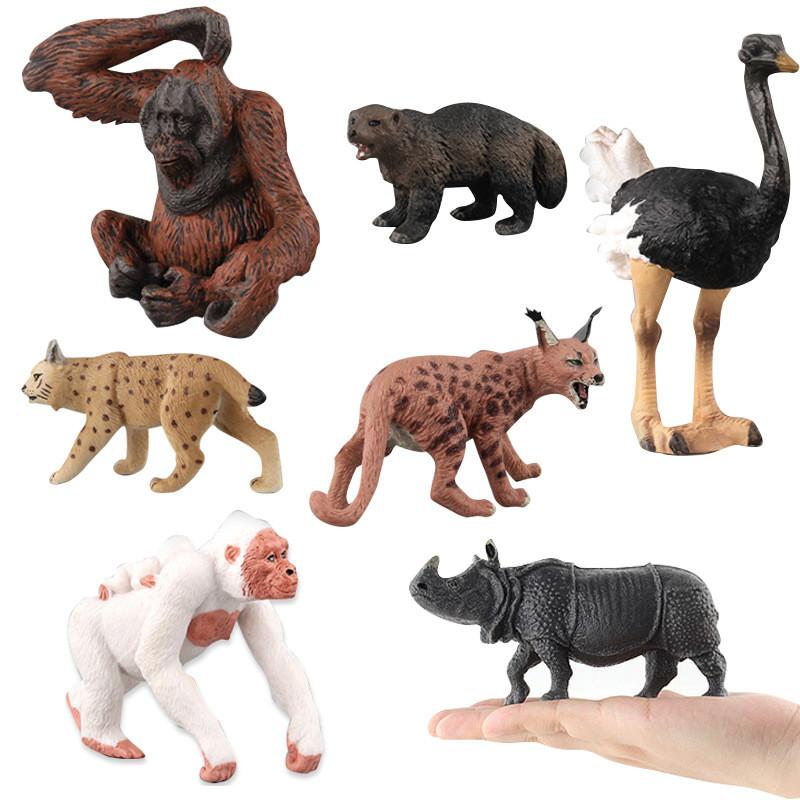 Realistic Wild Animal Models Pvc Material For Collection Learning And Nature Display Purposes
