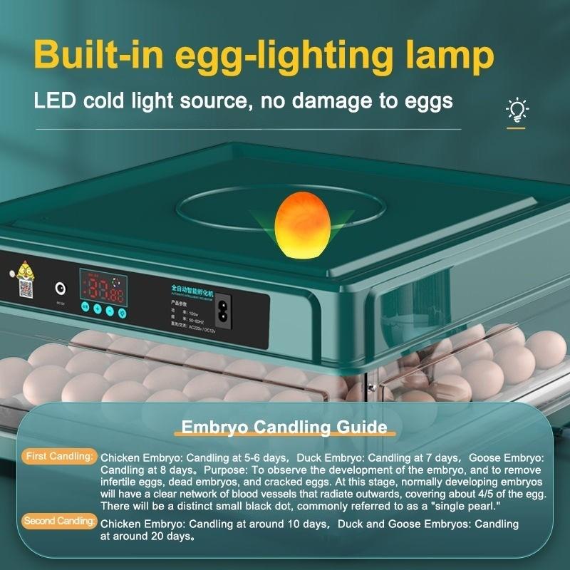 Автоматический инкубатор для яиц на 12/24/48/64/130 яиц Термостатическая машина для выведения цыплят Многофункциональный инкубатор для фермерских яиц