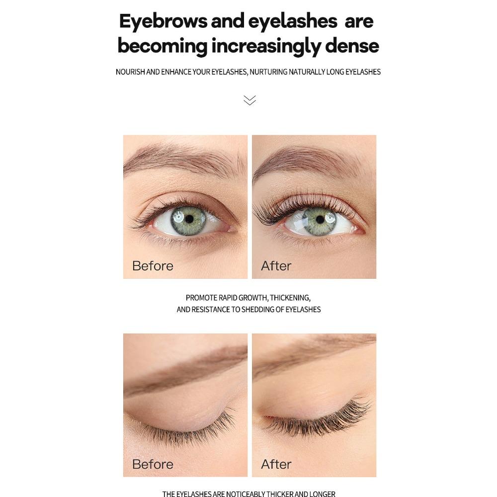 Black Castor Essence Jamaica Scalp Essence Eyelash Hair Care Body Oil