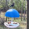 Купольная кормушка для мелких птиц - Кормушка для мучных червей - Купольная крышка для кормушки для птиц на открытом воздухе