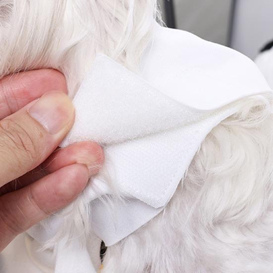 Halloween Ghost Dog Outfit Pumpkin White Ghost Costume Pet Cosplay Attire with Witch Hat for Trick or Treat Costume Party Photoshoot