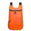 New Style Splash-Proof Foldable Travel Backpack: Portable, Lightweight Outdoor Skin Bag