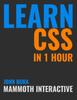 The Learn Css In 1 Hour Book