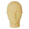 Учебный манекен лица FM-01