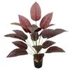 Artificial Green Magnolia Leaf Bunch for Home Decoration - Potted Plant, Wall Decor, Ornaments, and Bonsai.