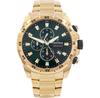 Festina Chrono Sport 20541/3 Watch