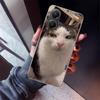 Забавный чехол для телефона с мемами про кошек для Xiaomi Poco X5 X6 X7 Pro F7 Ultra M7 Redmi 15C 15 13C 13 12C 12 10 10C 10A 9 9C 9T 9A Чехол P