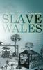 Книга Slave Wales : The Welsh and Atlantic Slavery, 1660-1850