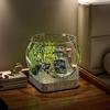 Clear Fish Bowl for Betta Fish Golden Fish Turtle Plastic Betta Fish Tank Desktop Round PET Aquarium for Home Office Decor