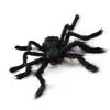 Giant Fake Spider Lifelike Halloween Posable Black Soft Hairy Fake Spiders Scary Decorations for